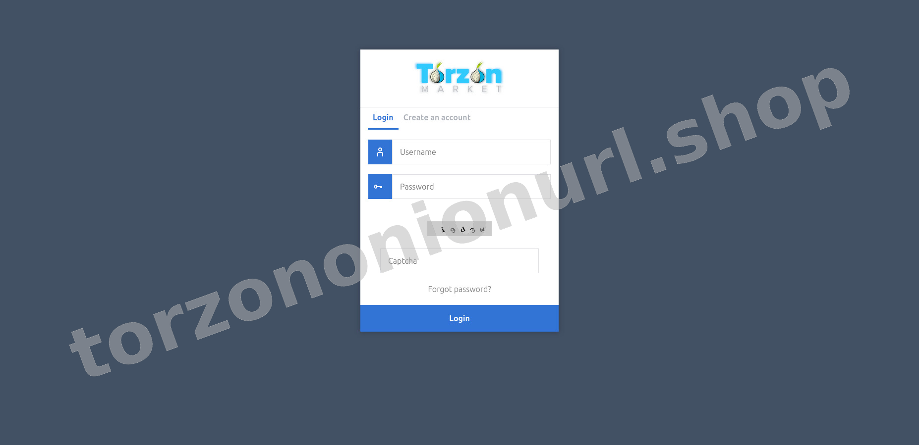 Secure User Login Interface